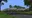 Niks Flower fields - image 1